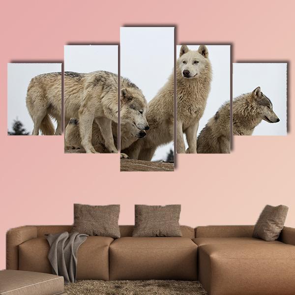 Close-up Image Of A Grey Wolf Pack In Winter Animal Canvas Wall Art