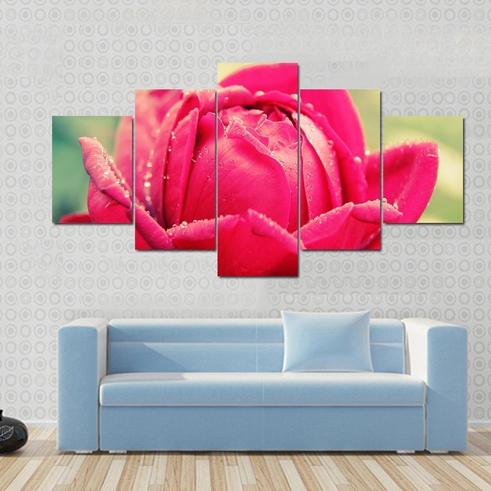 Close Up Of Flower With Raindrops Nature Canvas Wall Art
