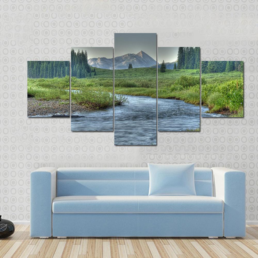 Cold Clear Stream In Summer Nature Canvas Wall Art