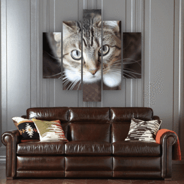 Curious Cat Animal Canvas Wall Art