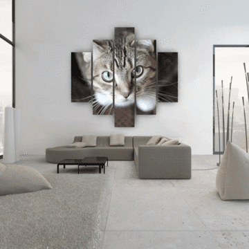 Curious Cat Animal Canvas Wall Art