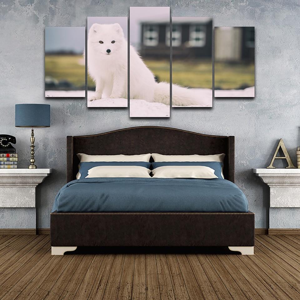 Cute White Pet Fox Animal Canvas Wall Art