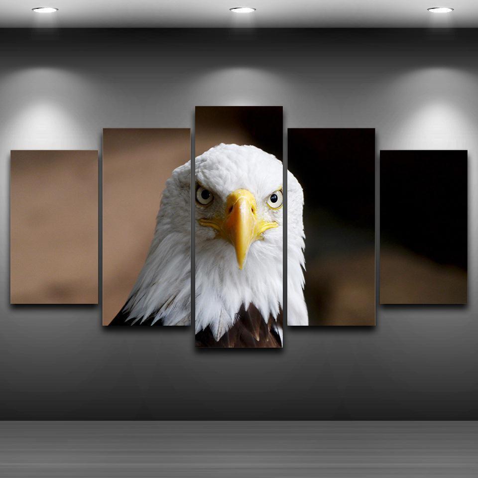 Decoration On Animal Eagle Animal Canvas Wall Art