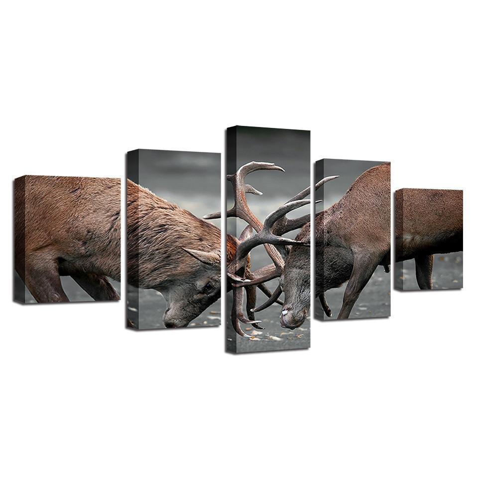 Deer Fighting Animal Canvas Wall Art