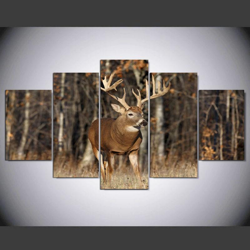 Deer In Forest Animal Canvas Wall Art