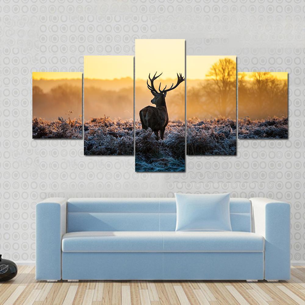 Deer In Morning Sun Animal Canvas Wall Art