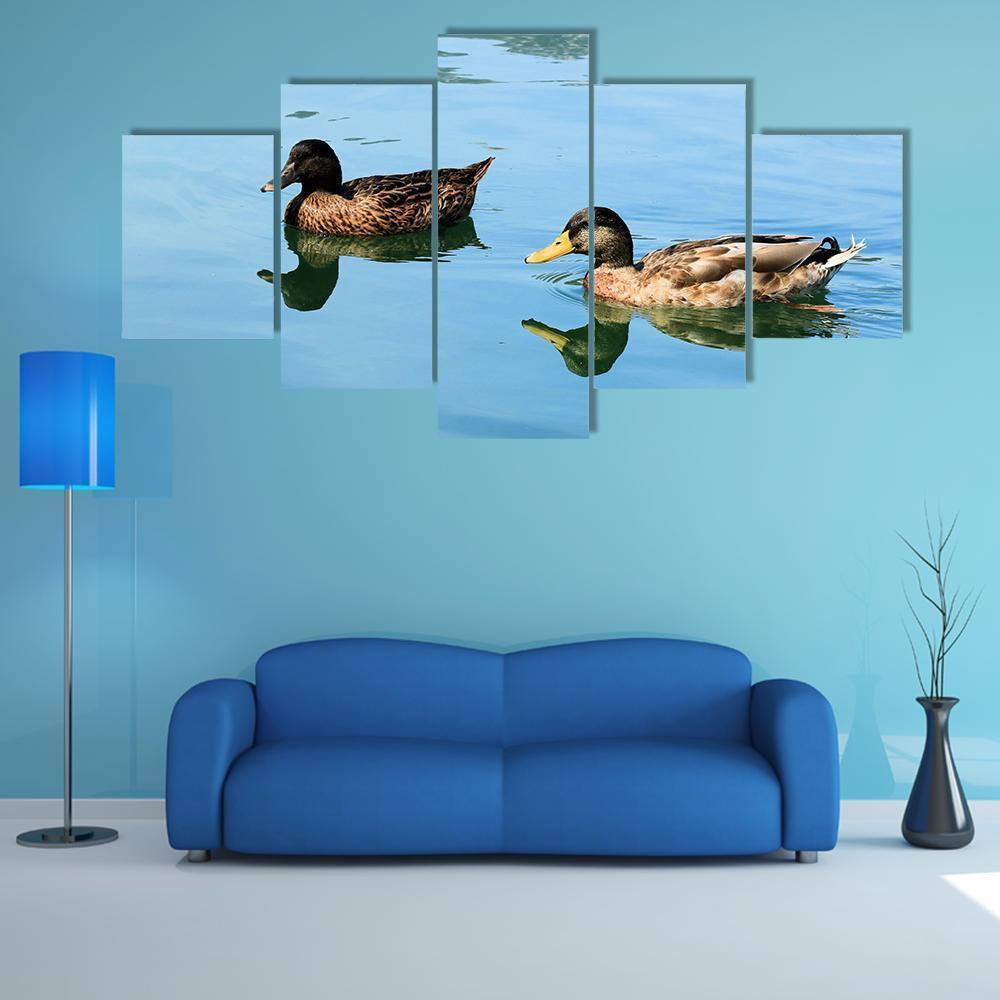 Duck Swimming In Clear Blue Water Animal Canvas Wall Art