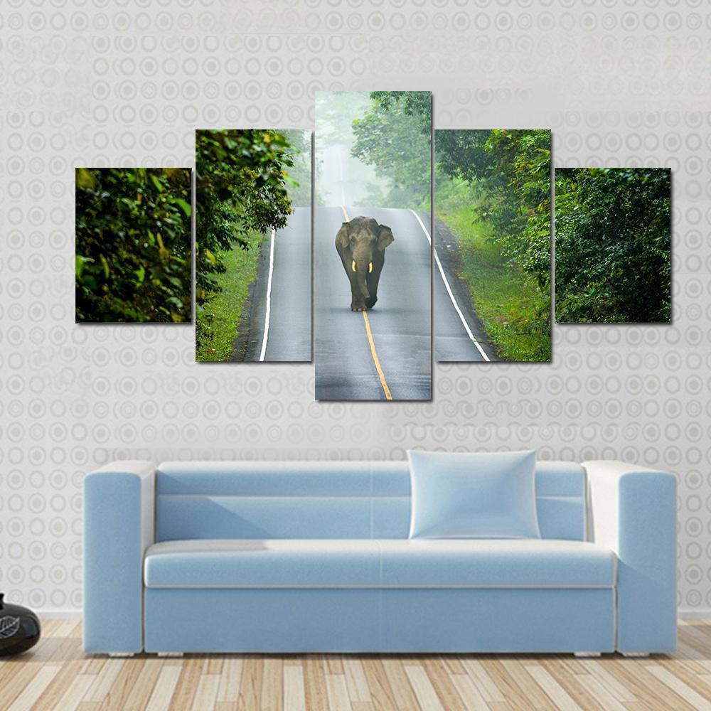 Elephant On The Road Animal Canvas Wall Art