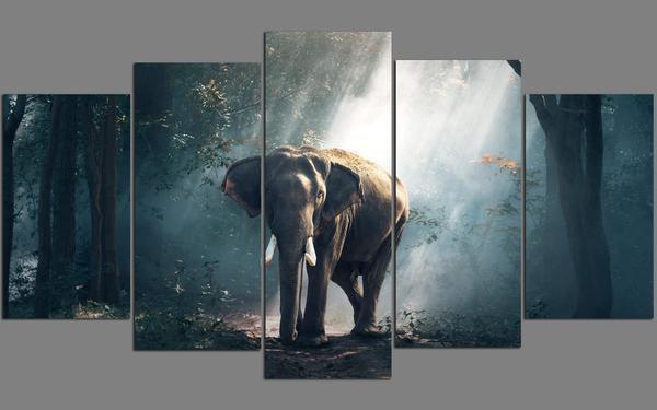Elephant Wildlife Animal Canvas Wall Art