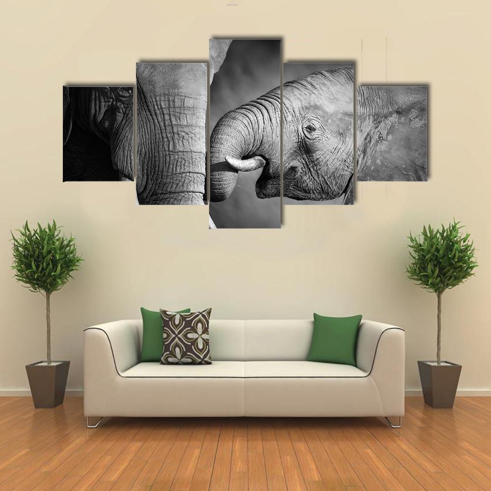 Elephants Showing Affection Animal Canvas Wall Art