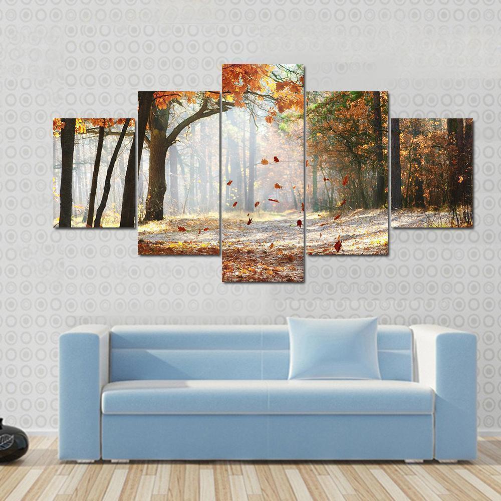 Falling Oak Leaves On Autumn Forest Illuminated By Morning Sun Nature Canvas Wall Art