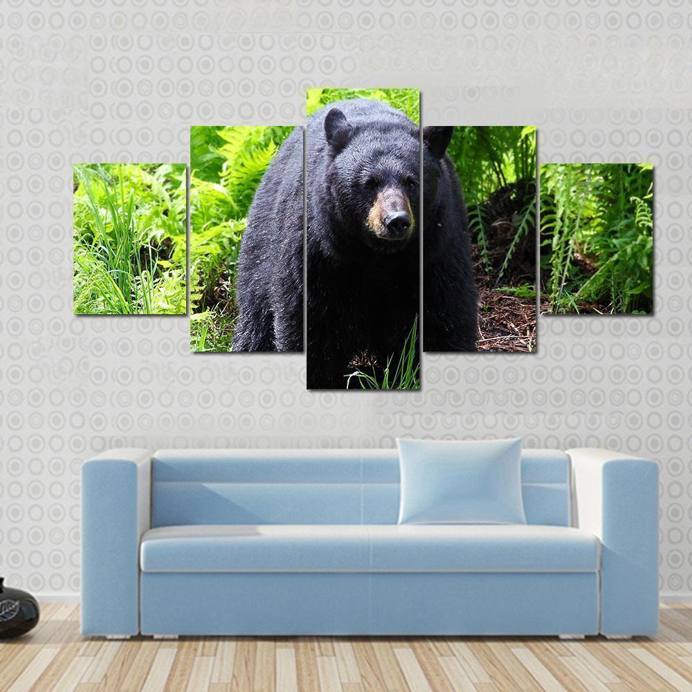 Female Black Bear Animal Canvas Wall Art