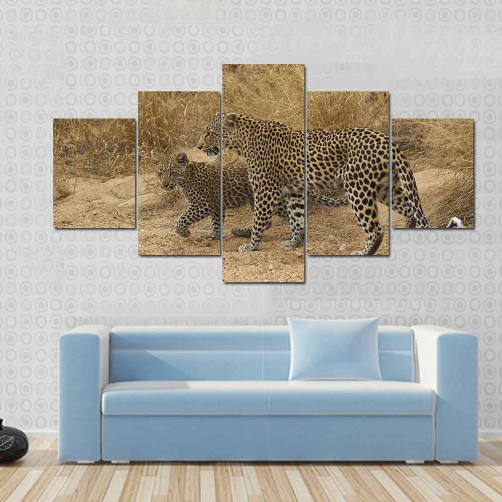 Female Leopard And Cub Walking Animal Canvas Wall Art