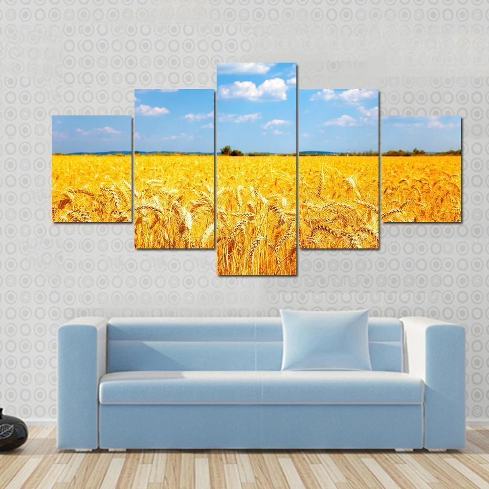 Fields Of Ripe Yellow Wheat Ready For Harvest Nature Canvas Wall Art
