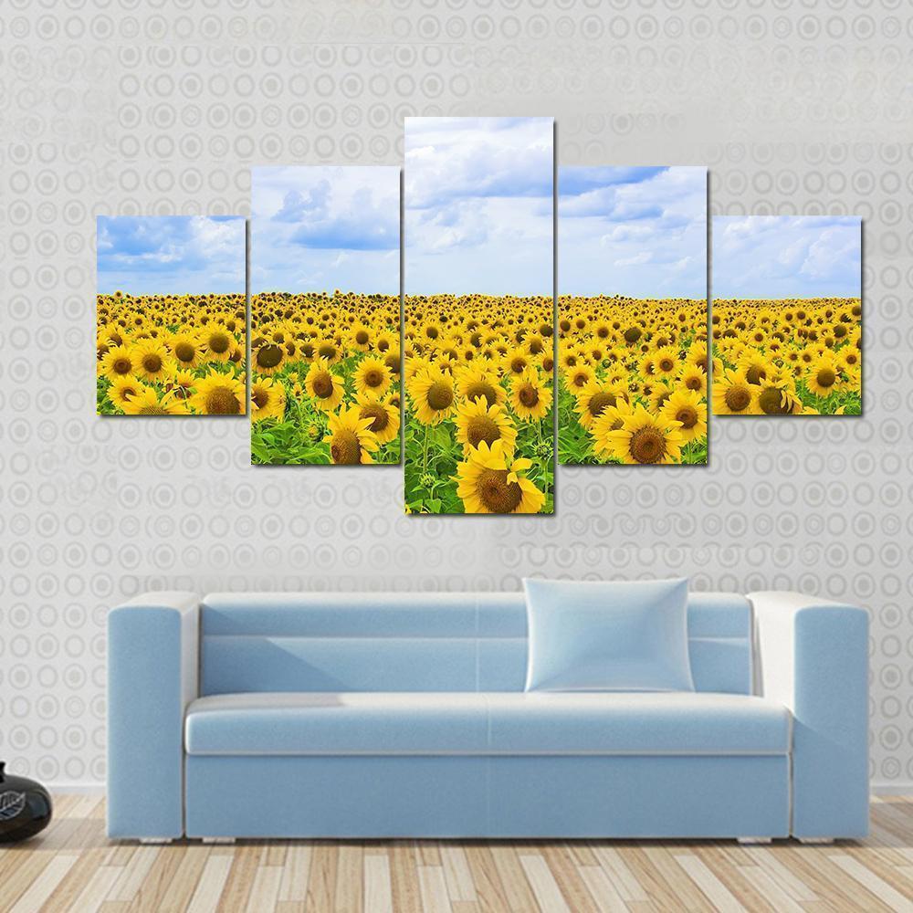 Fine Summer Field Of Sunflowers In The Blue Sky Nature Canvas Wall Art