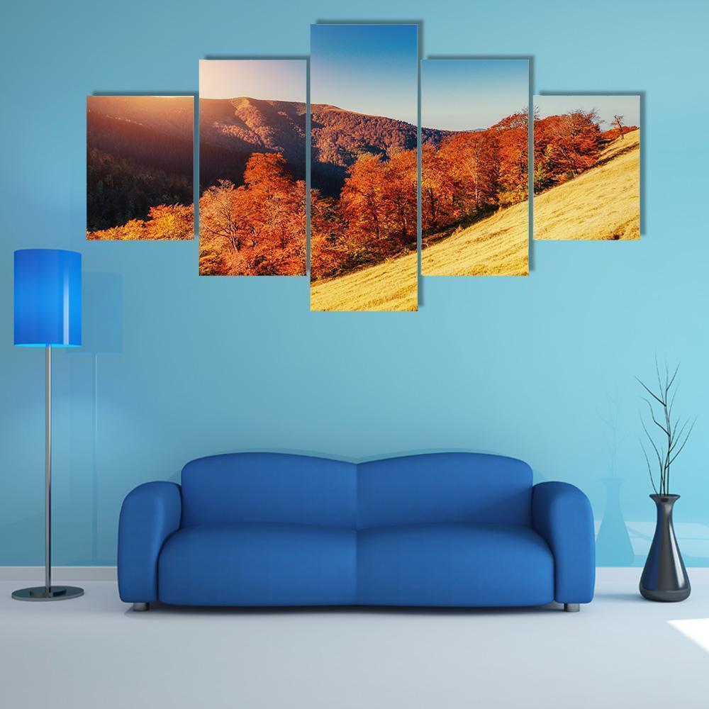 Forest Road In The Autumn Nature Canvas Wall Art