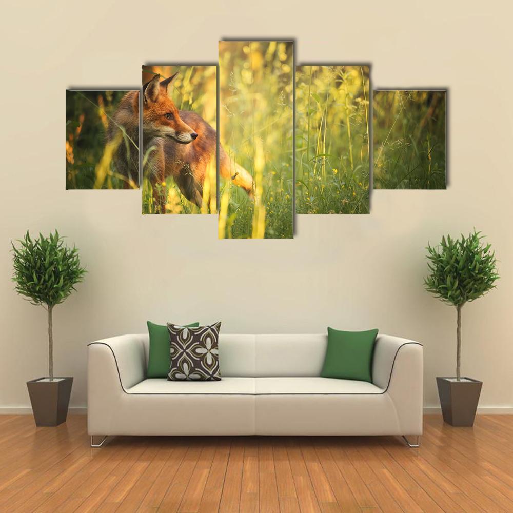 Fox On The Summer Forest Animal Canvas Wall Art