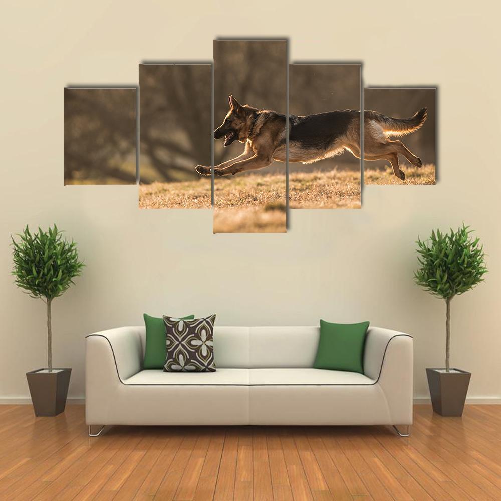 German Shepherd Dog Animal Canvas Wall Art