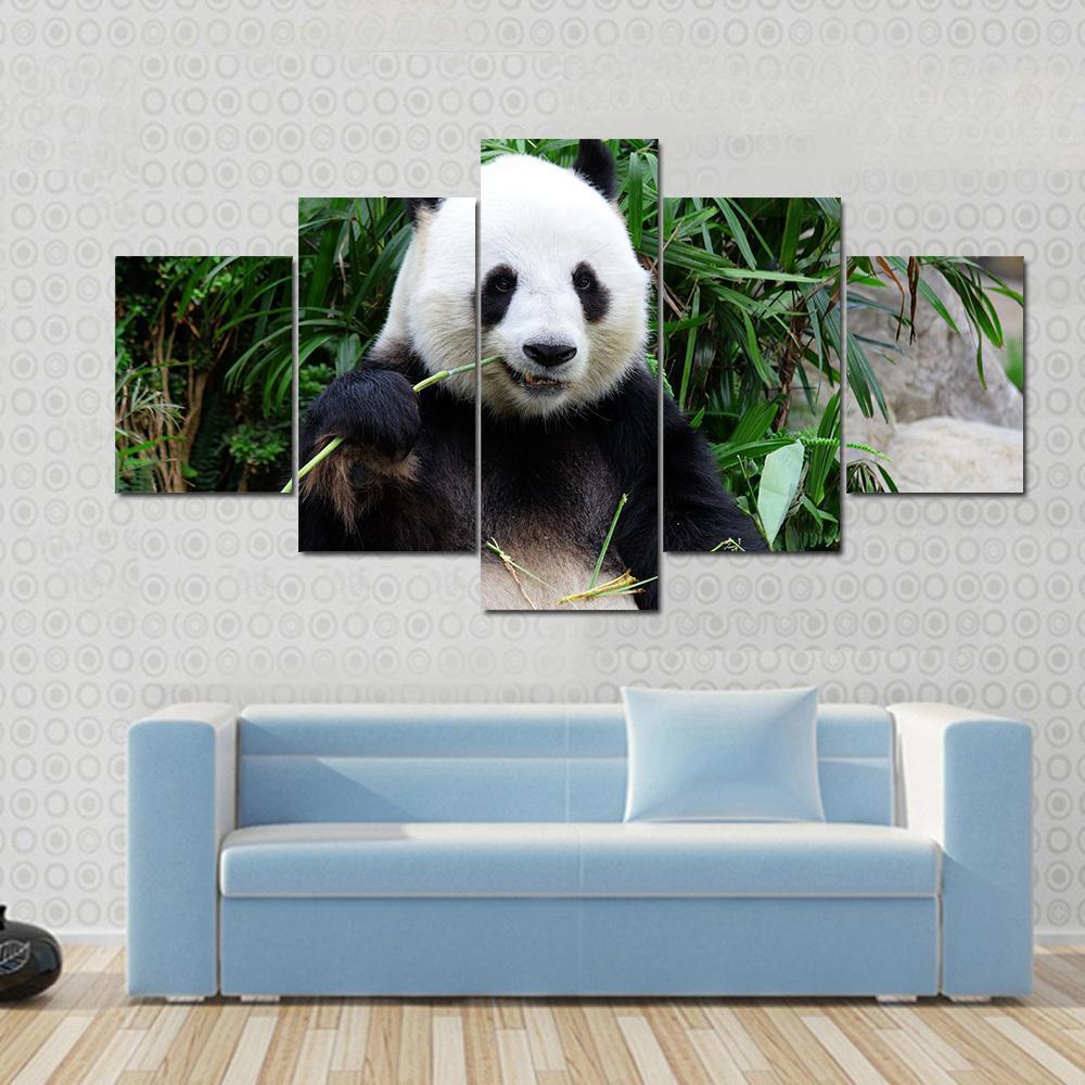 Giant Panda Bear Eating Bamboo Animal Canvas Wall Art
