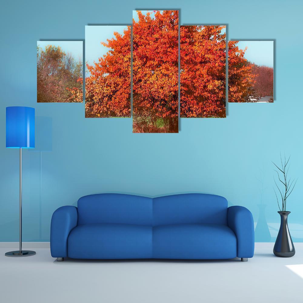 Gorgeous Tree With Red Autumn Foliage At Sky Nature Canvas Wall Art