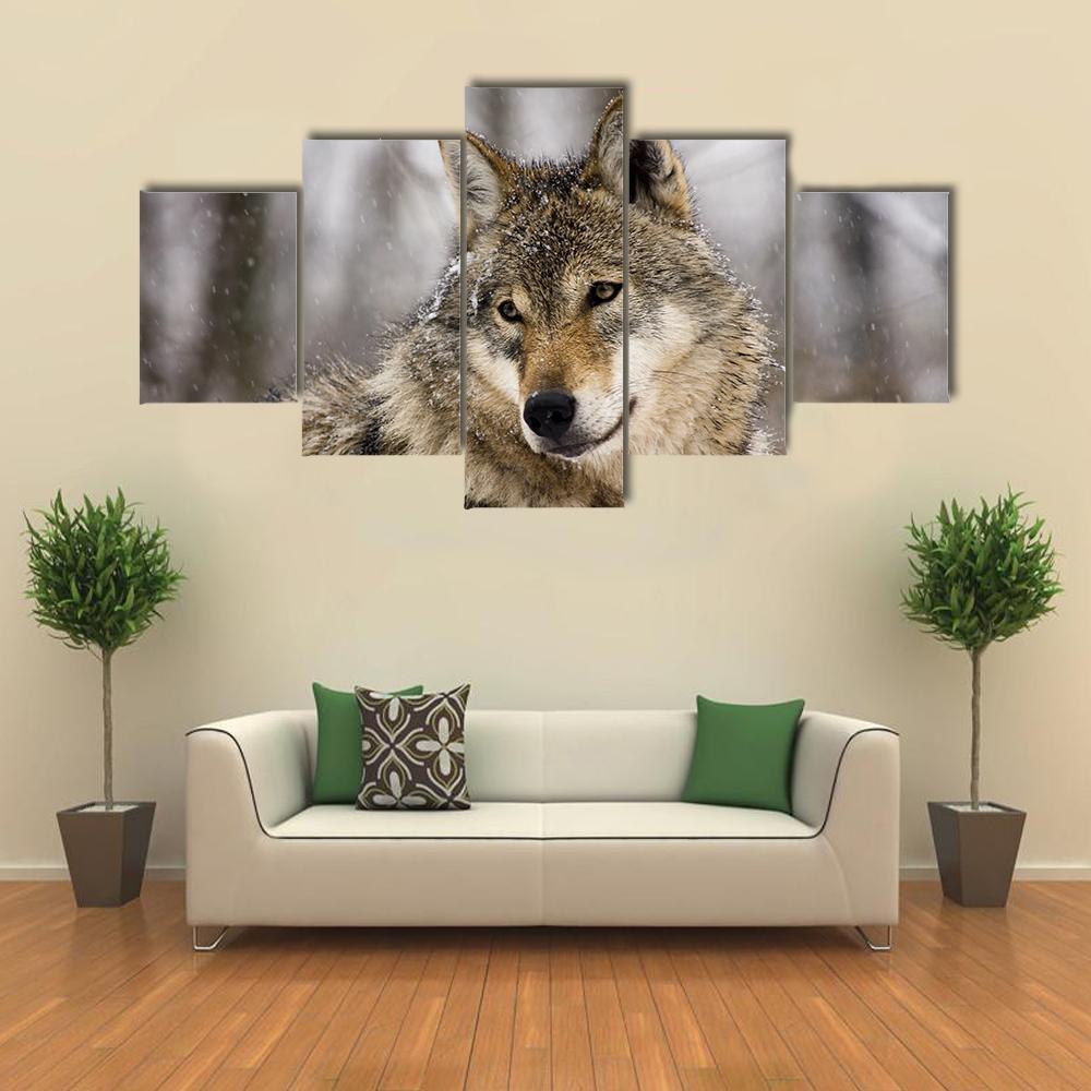 Gray Wolf In Winter Animal Canvas Wall Art