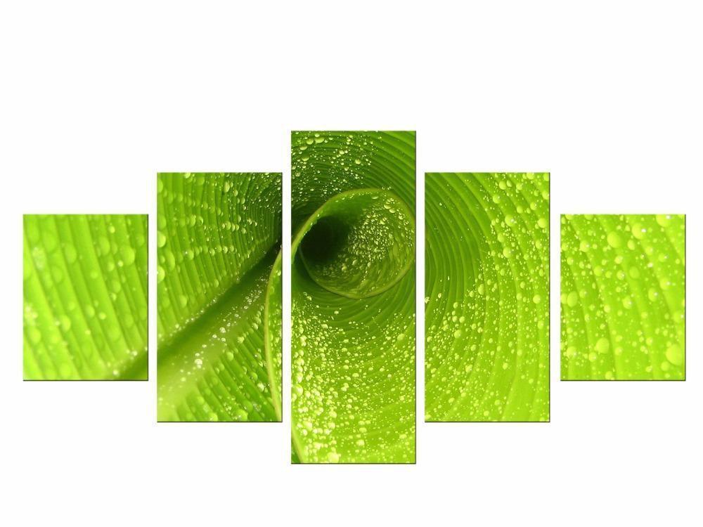 Green Spiral Canvas Wall Art