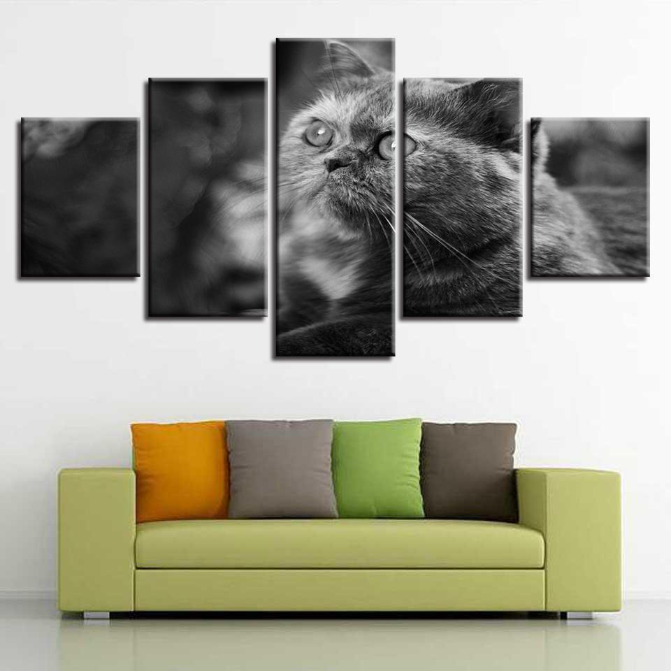 Grey Big Eyes Cat Animal Canvas Wall Art