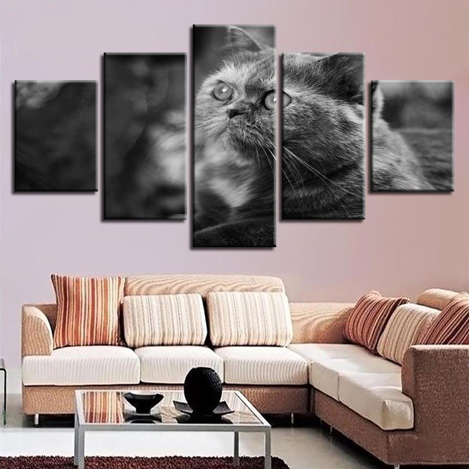 Grey Big Eyes Cat Animal Canvas Wall Art