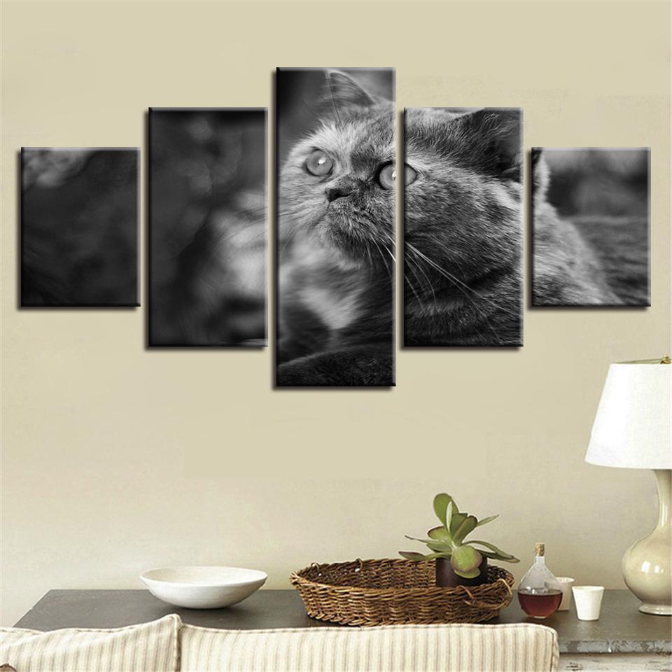 Grey Big Eyes Cat Animal Canvas Wall Art