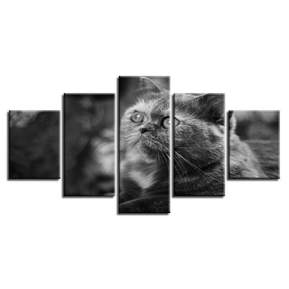 Grey Big Eyes Cat Animal Canvas Wall Art