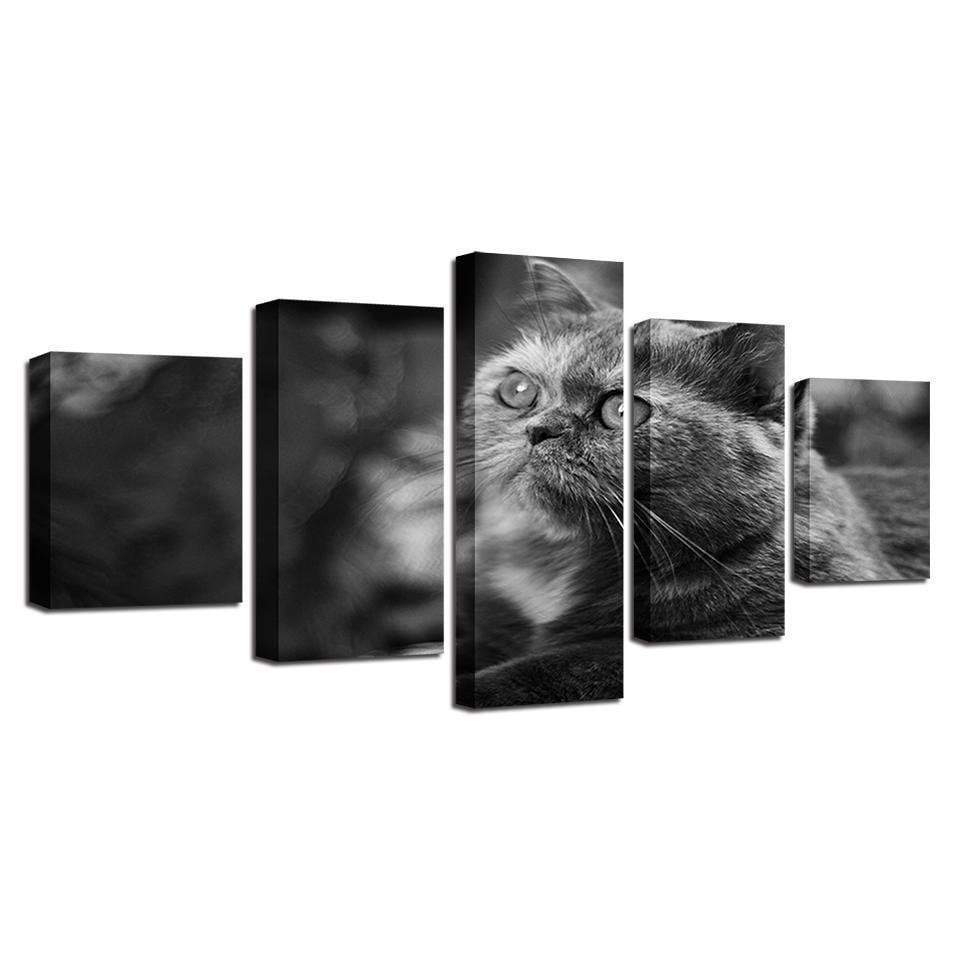 Grey Big Eyes Cat Animal Canvas Wall Art