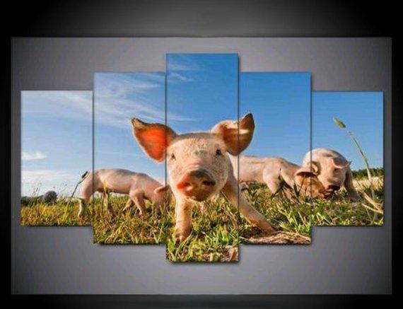 Happy Pig Animal Canvas Wall Art