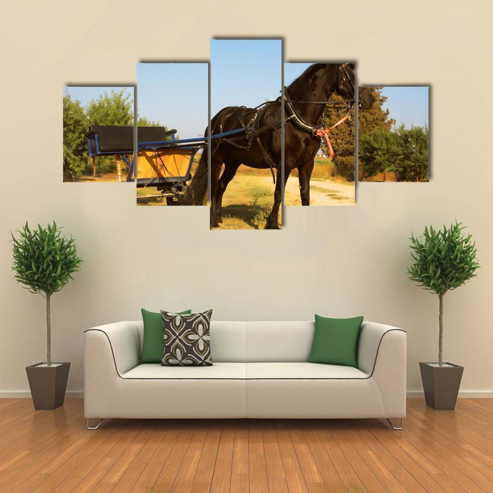 Horse Outdoor Summer Day Animal Canvas Wall Art