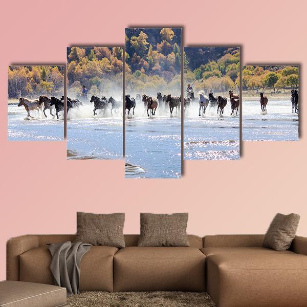 Horse Riding In Splashed Water Animal Canvas Wall Art