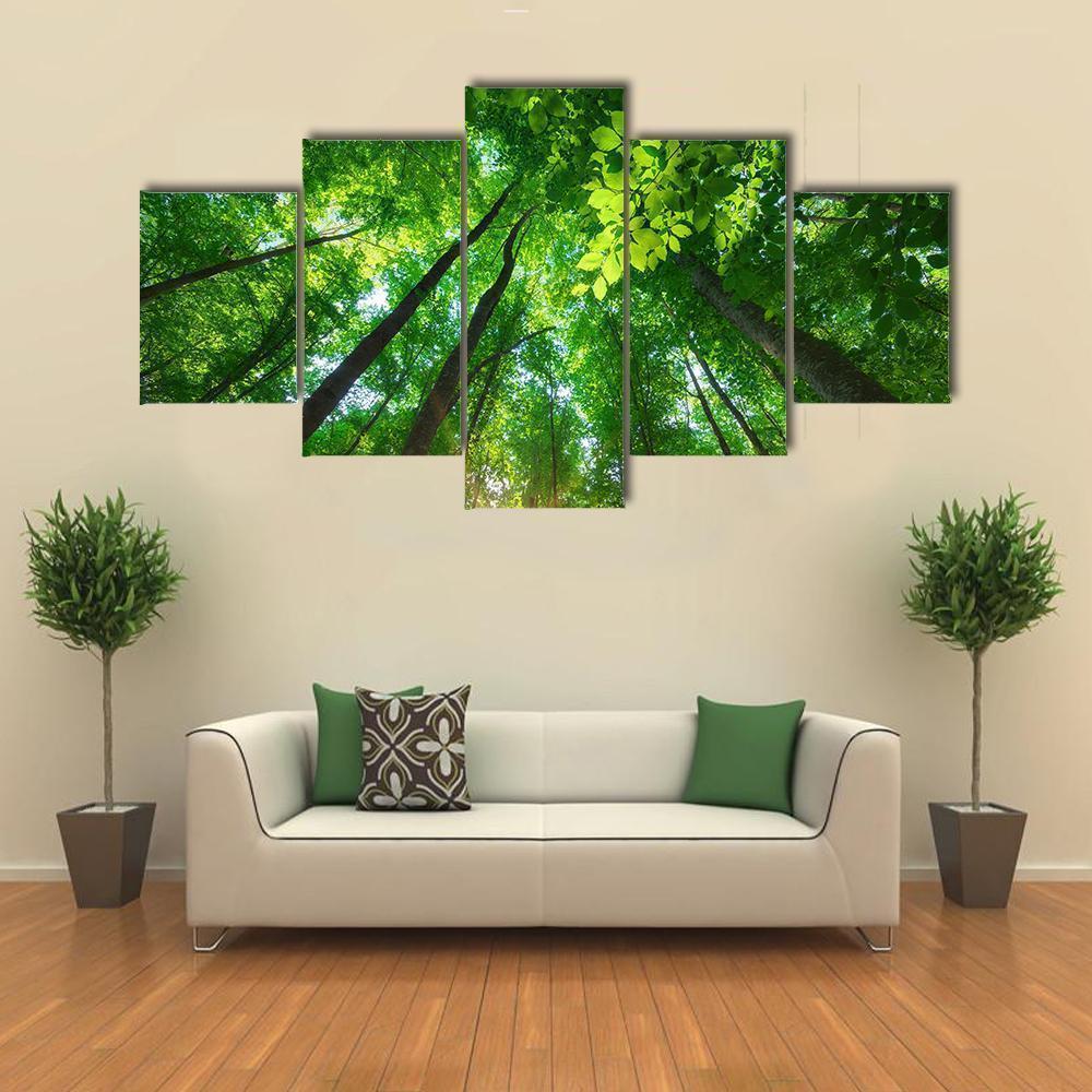 Into The Forest Nature Composition Nature Canvas Wall Art