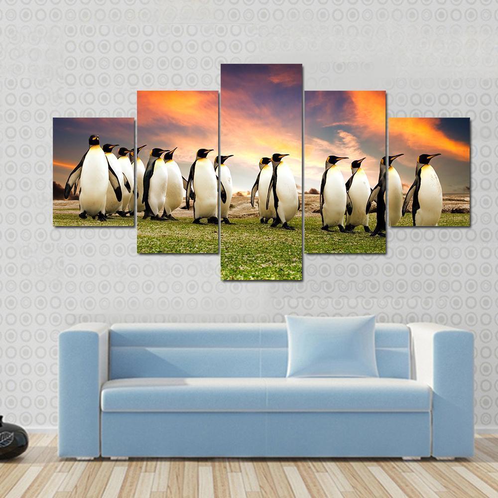 King Penguins In The Falkland Islands Animal Canvas Wall Art