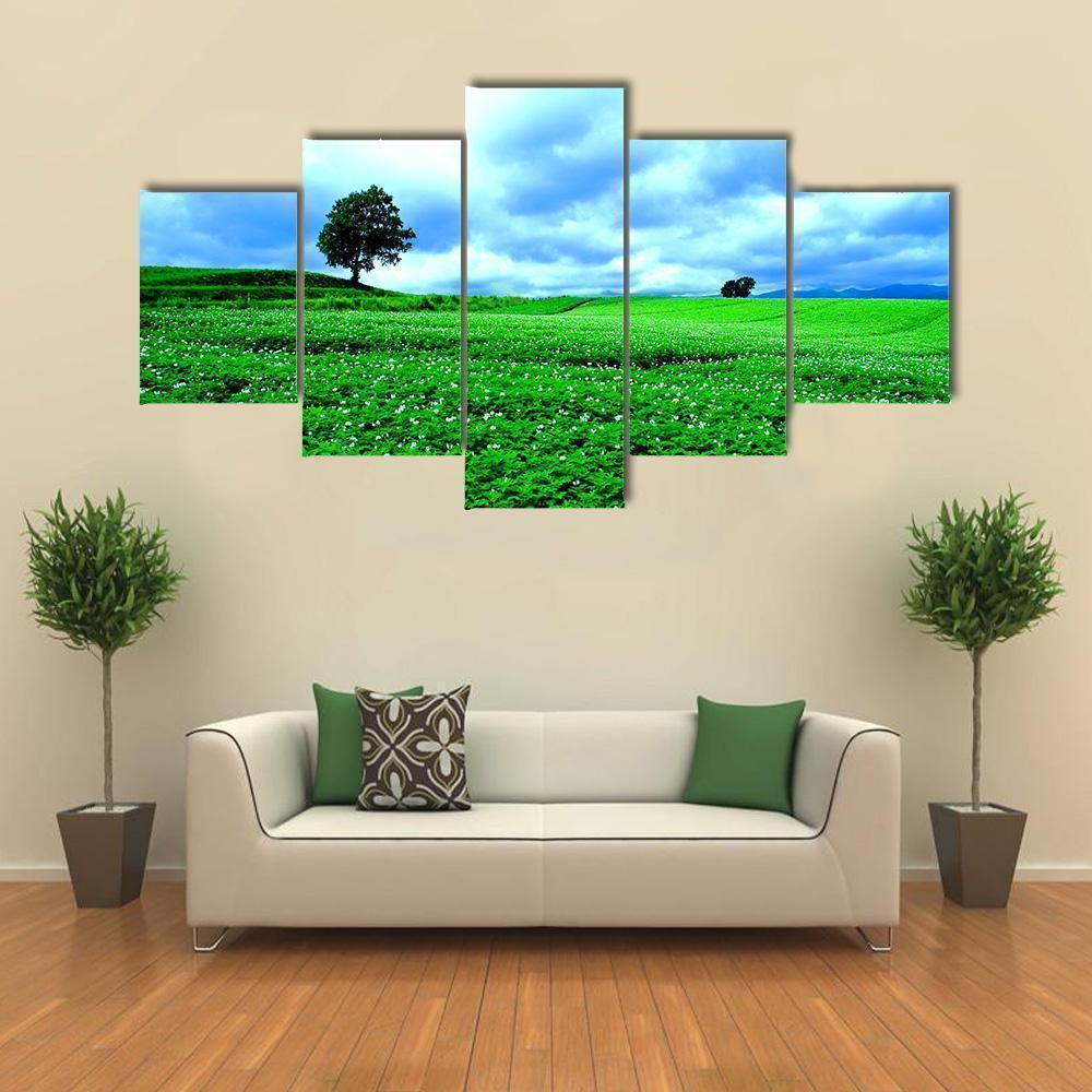 Landscape Of Hill Of Biei In Hokkaido Nature Canvas Wall Art