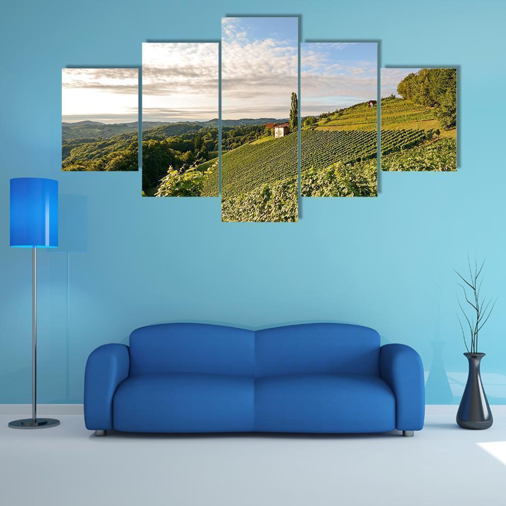 Landscape With Wine Grapes In The Vineyard Nature Canvas Wall Art