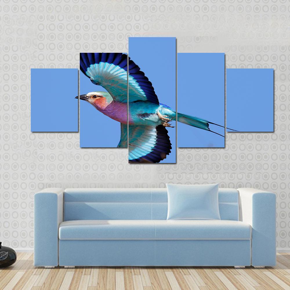 Lilac-breasted Roller Taking Flight Against Blue Sky Animal Canvas Wall Art
