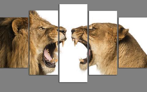 Lion And Lioness Animal Canvas Wall Art