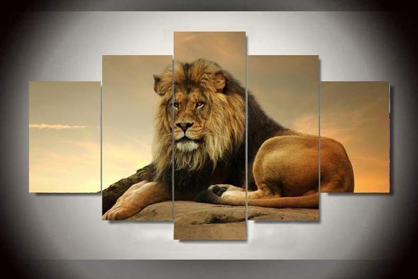 Lion At Sunset Sunrise Animal Canvas Wall Art
