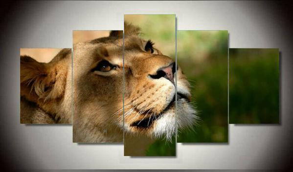 Lioness Closeup Animal Canvas Wall Art