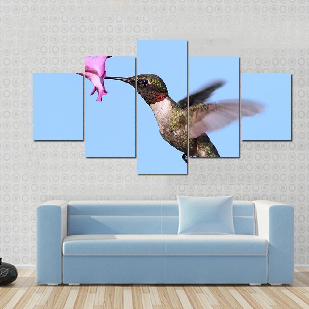Male Ruby-throated Hummingbird In Flight With A Purple Flower Animal Canvas Wall Art