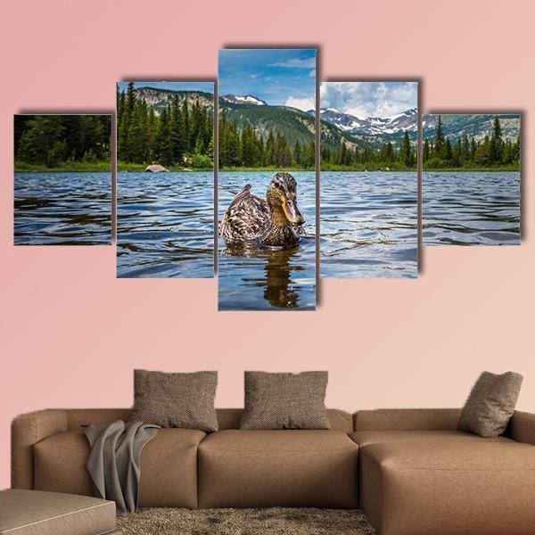Mallard Duck Female In Lost Lake Animal Canvas Wall Art