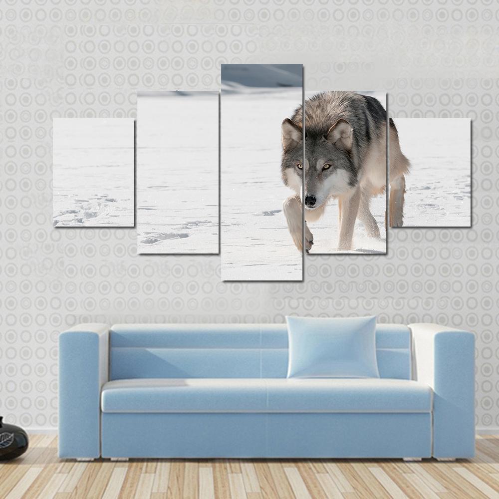 Marching Gray Wolf In Snow Animal Canvas Wall Art