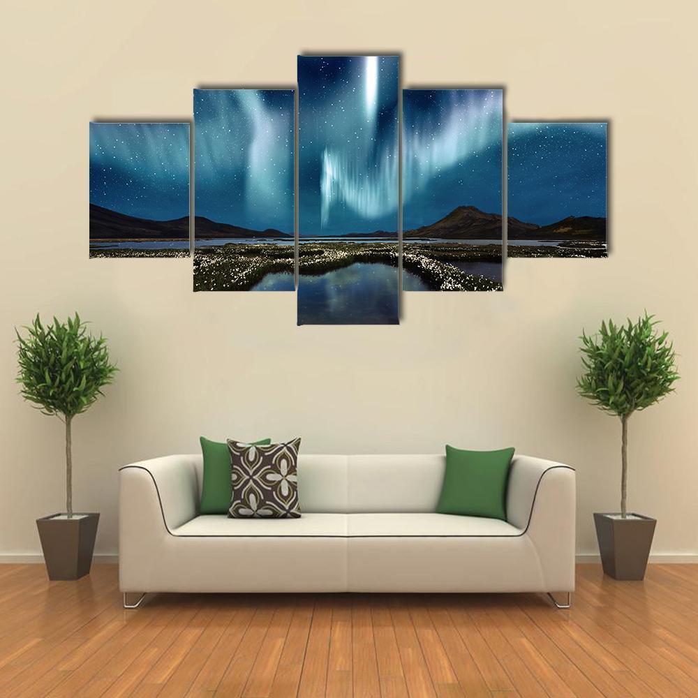 Northern Lights Over The Wildflowers Nature Canvas Wall Art