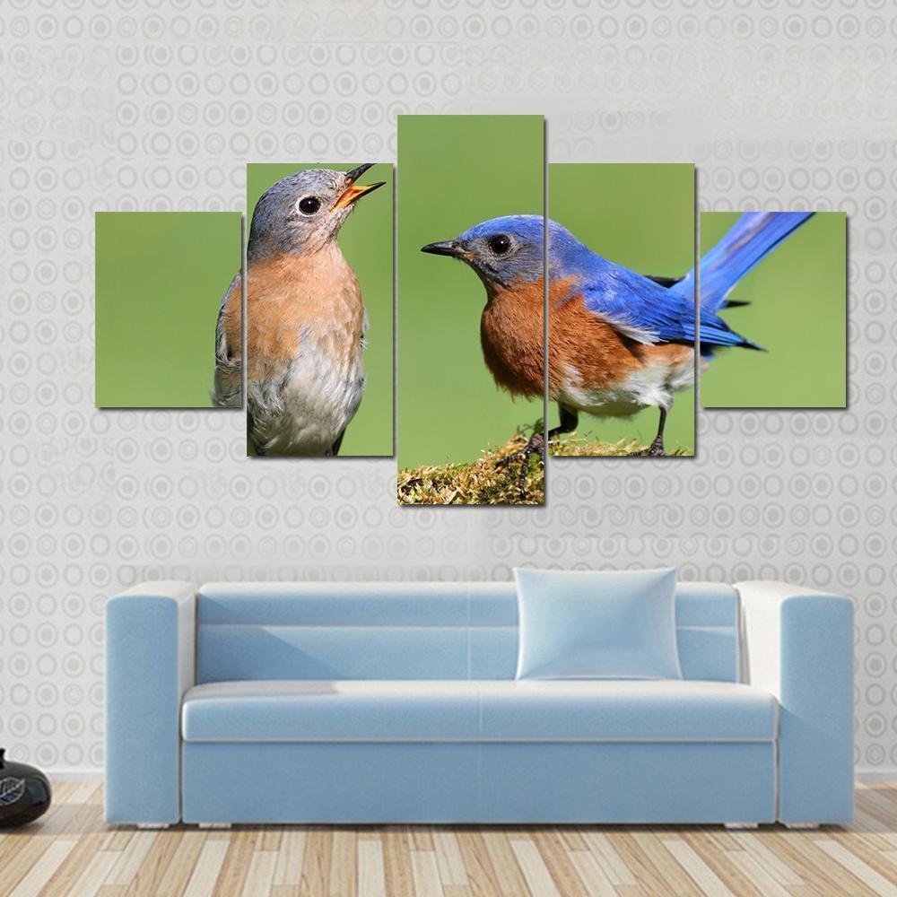 Pair Of Eastern Bluebird On A Log With Moss Animal Canvas Wall Art