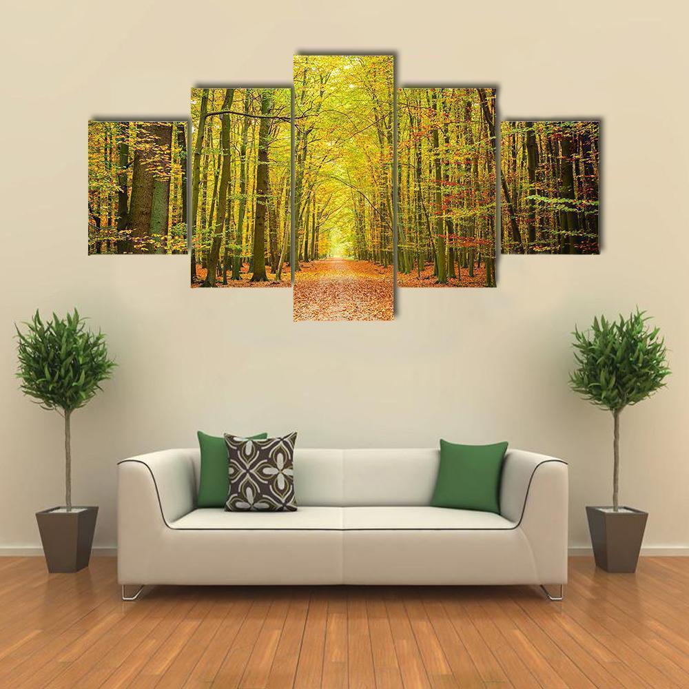 Pathway In The Autumn Forest Nature Canvas Wall Art