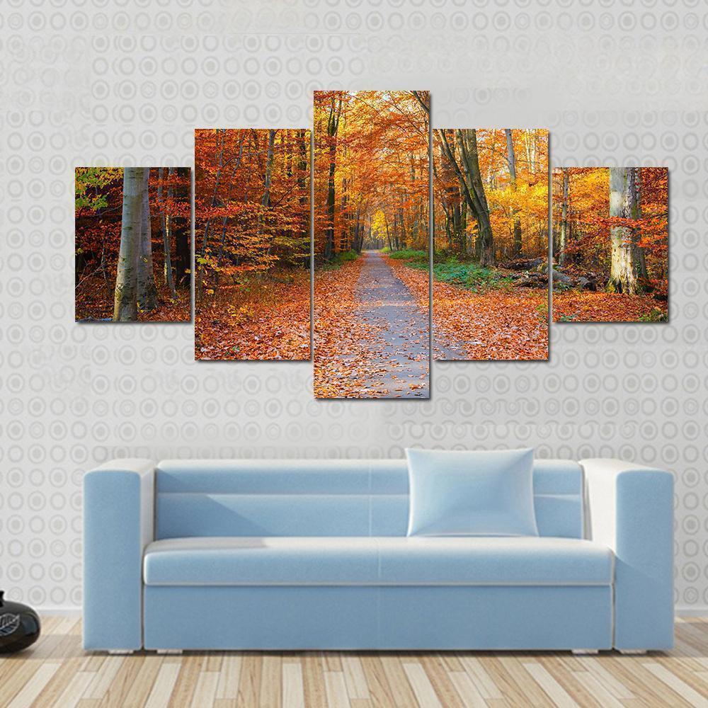 Pathway Through The Autumn Forest Nature Canvas Wall Art