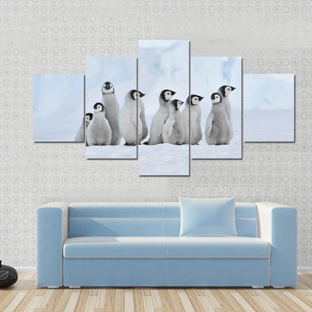 Penguin Chicks On Snow Hill On The Icebreaker Kapitan Khlebnikov Animal Canvas Wall Art